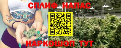 тгк Заводоуковск