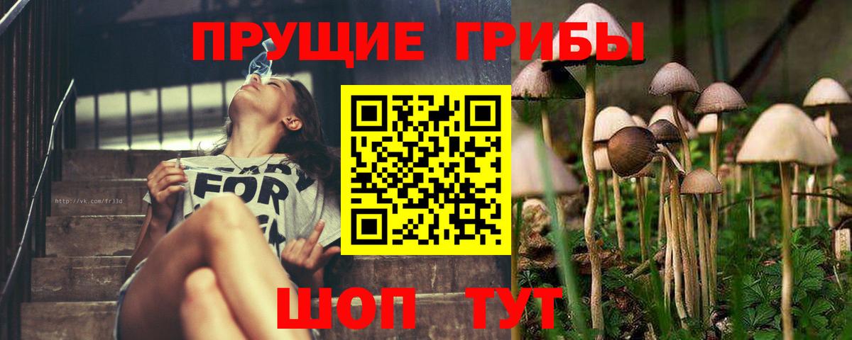 Псилоцибиновые грибы ЛСД Красноуфимск